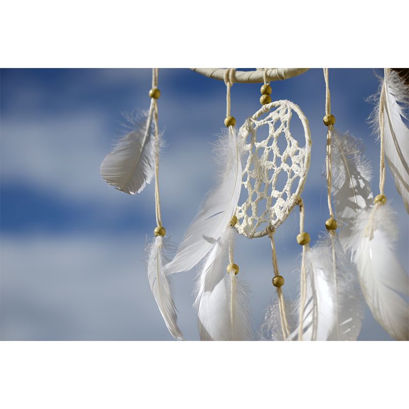 Beautiful Feathers Removable Wall Mural for Sleeping Room, Stain Resistant