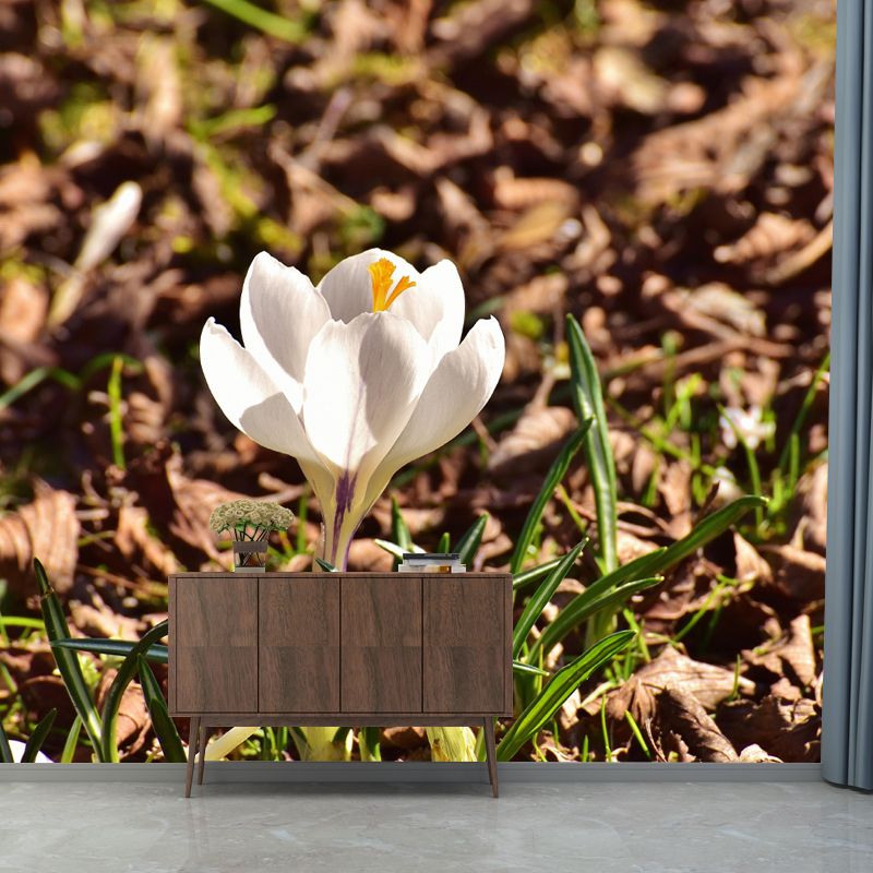 Blooming Saffron Environment Friendly Mural Wall Covering for Sleeping Room