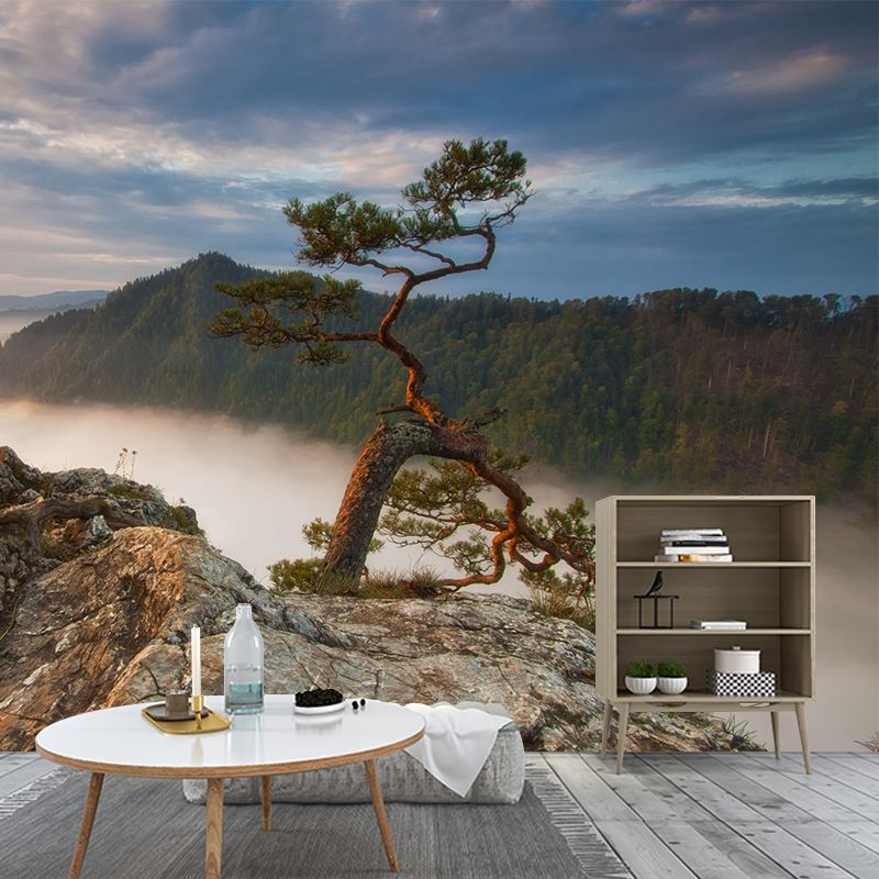 Brown Contemporary Mural Wallpaper Whole Pine Tree at Peak of Foggy Mountain Wall Art for Home