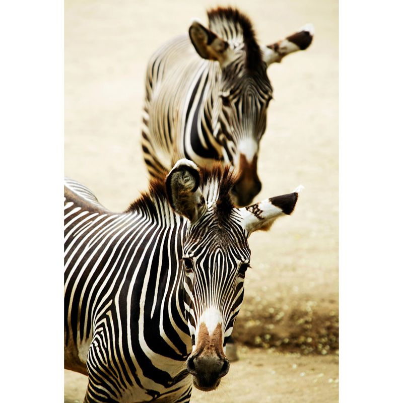 Contemporary Africa Zebra Mural Decal Pastel Color Natural Animals Wall Covering