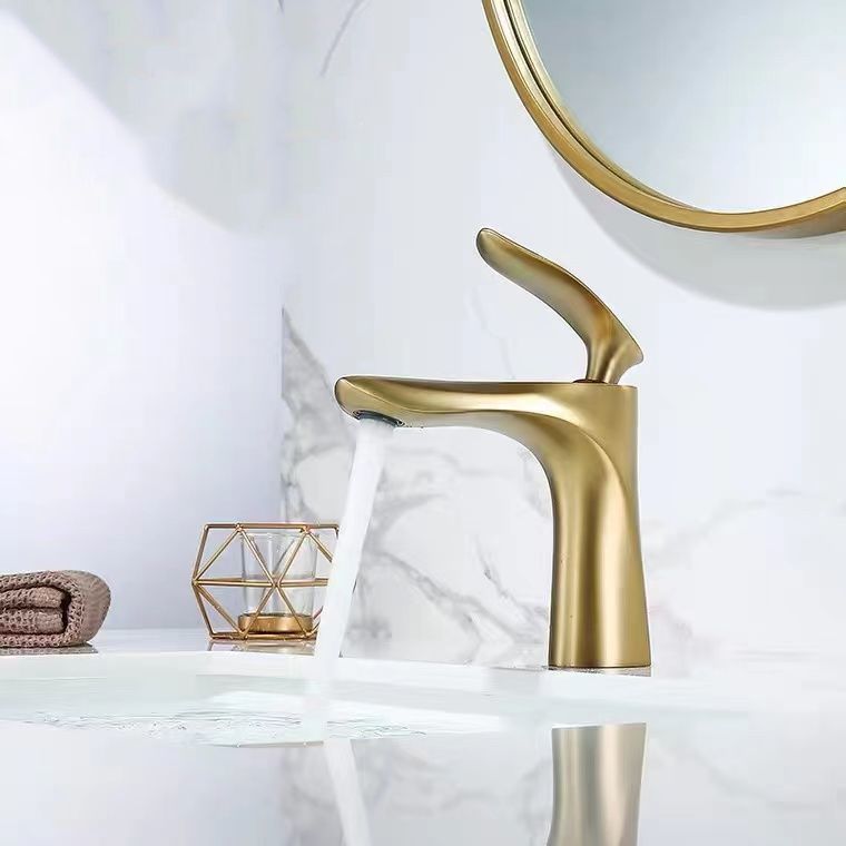 Lever Handle Vanity Sink Faucet Single Hole Basin Faucet with Water Hose