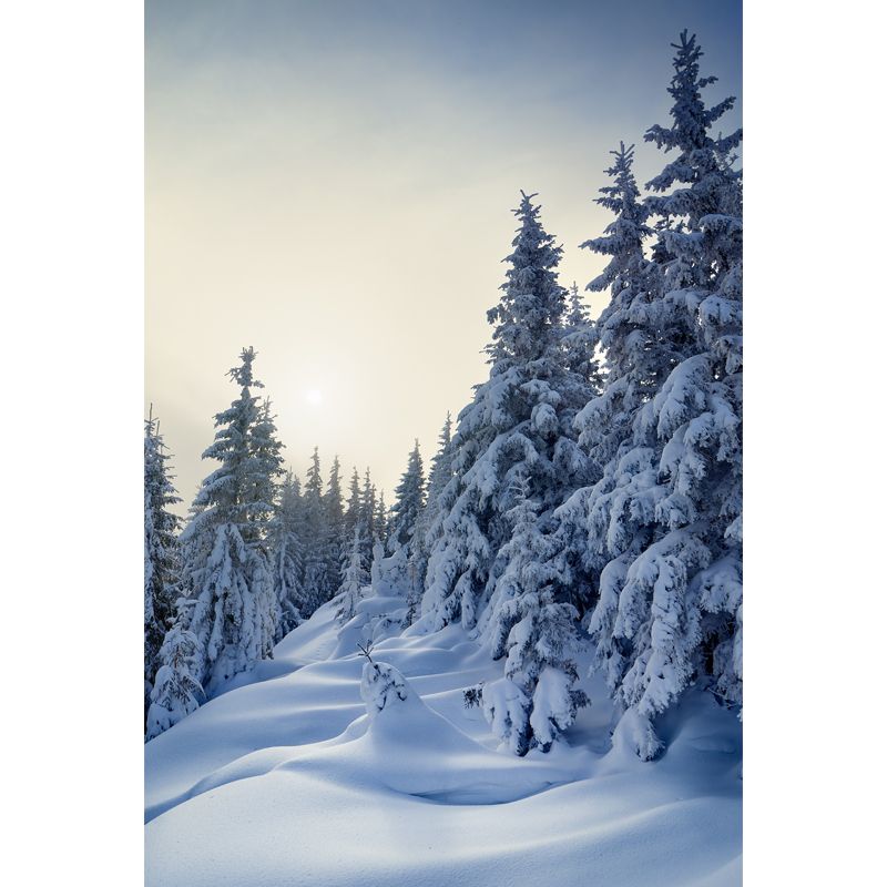 Cypress with Thick Snow Mural Modern Waterproofing Bedroom Wall Art, Made to Measure