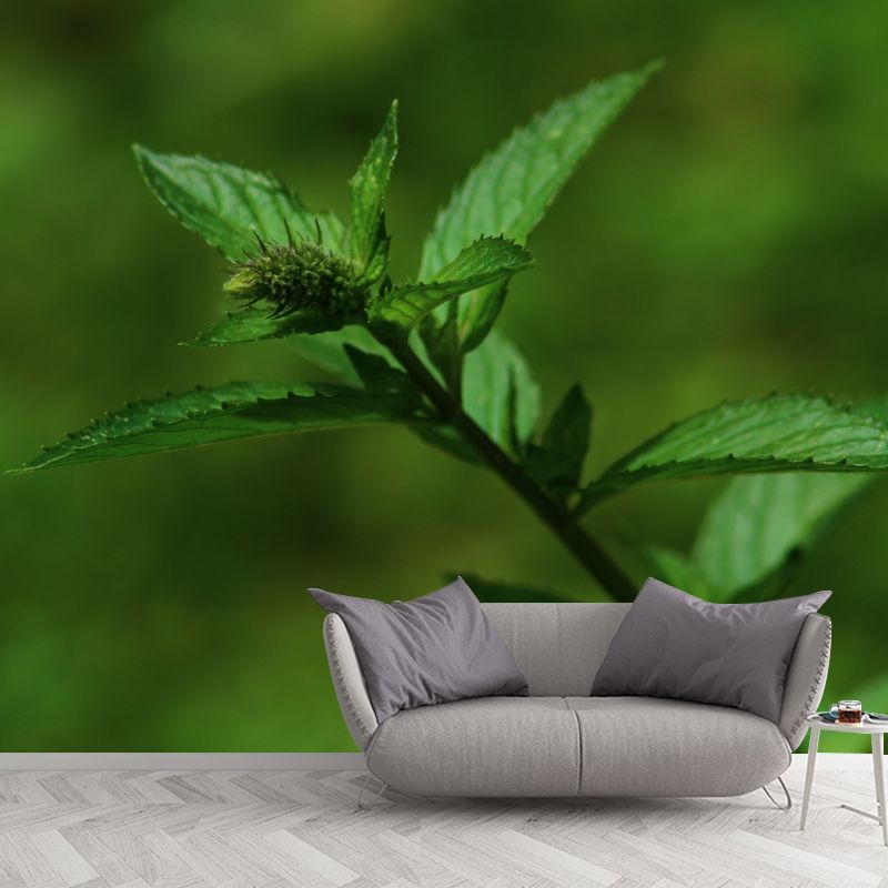 Green Mint Wall Covering for Living Room Moisture Resistant, Made to Measure