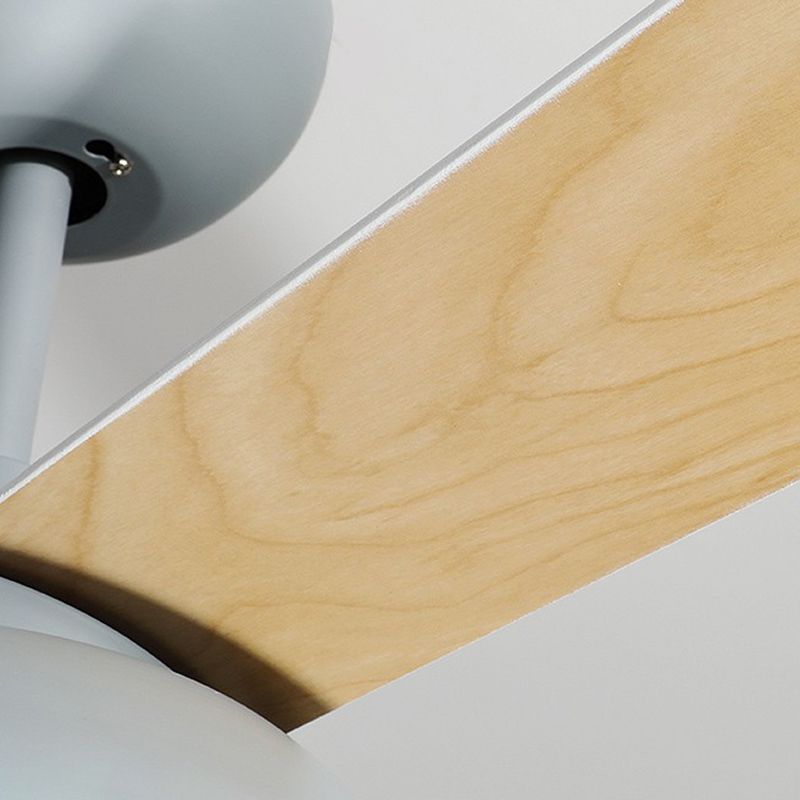 Modern Style Ceiling Fan Lighting Metal 1 Light Ceiling Fan Lighting for Children's Room