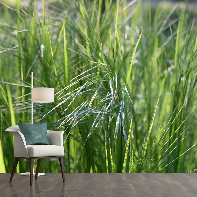 Grass Mural Modern Murals Wallpaper for Living Room Moisture Resistant, Custom Size Available