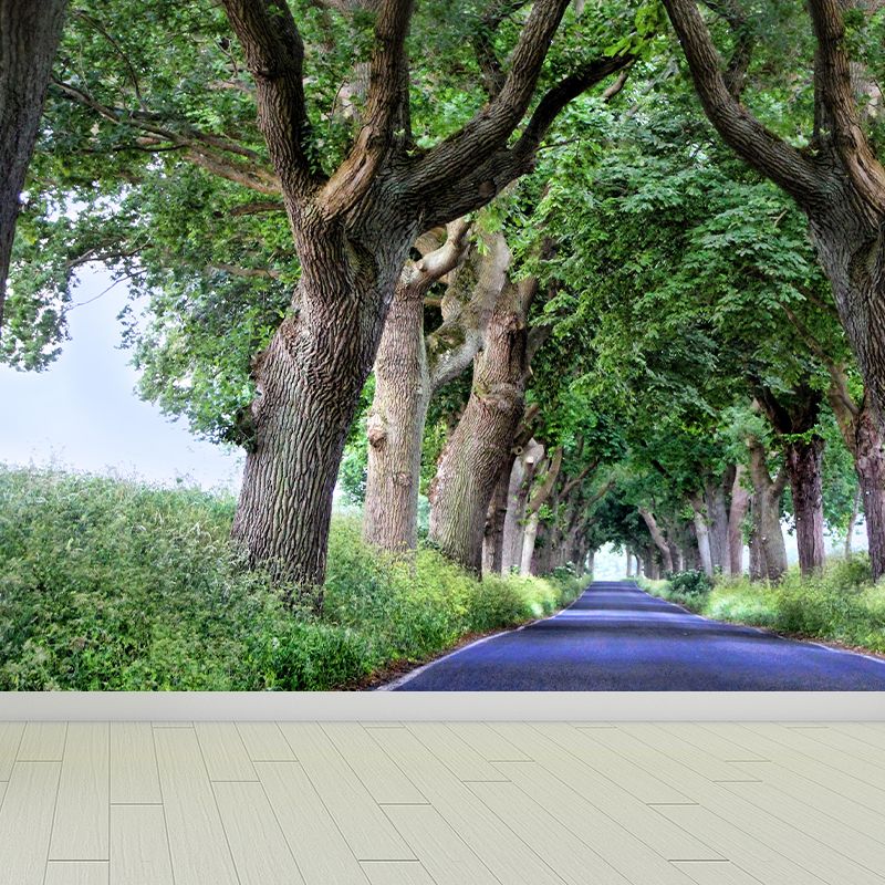 Customized Forest Trail Wall Mural Decals Home Decoration Living Room Wall Decor in Soft Color