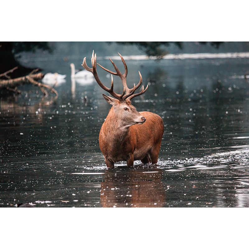 Deer Animal Mural Wallpaper Decorations for Sitting Room, Stain Resistant