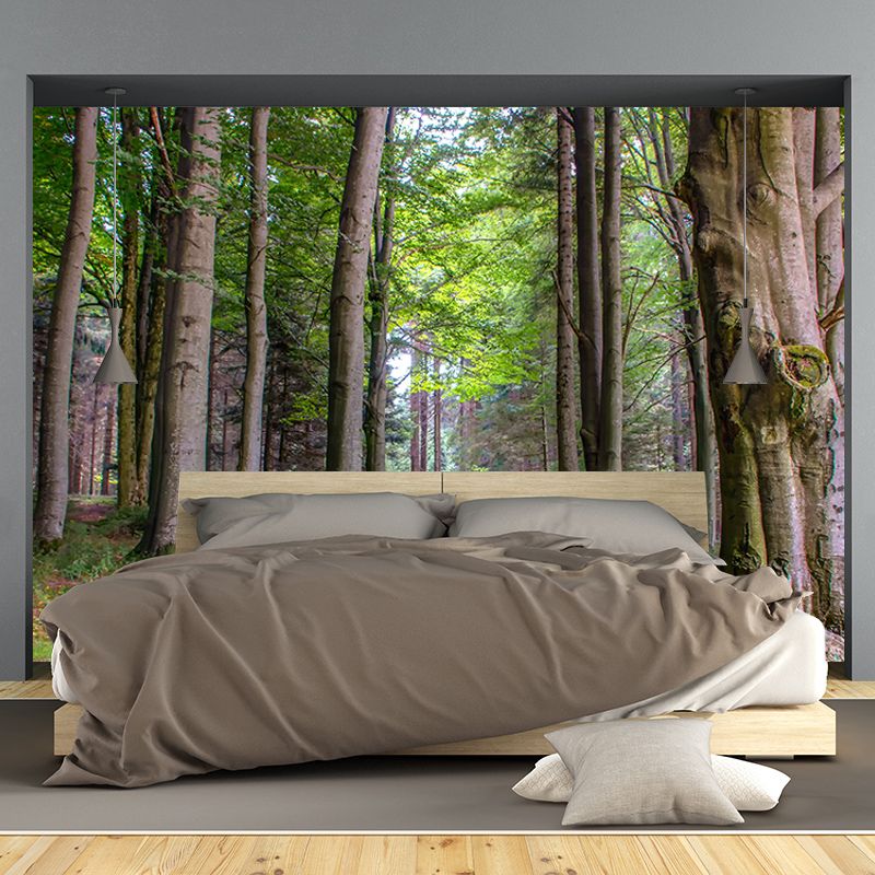 Forest Mural Wallpaper for Sitting Room Moisture Resistant, Personalized Size Available
