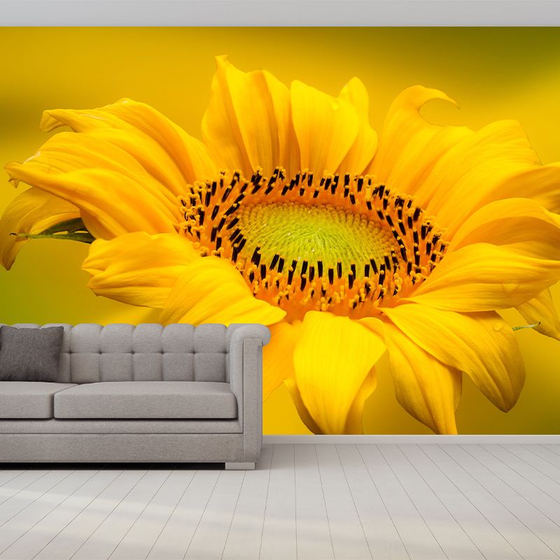 Sunflower Mural Contemporary Landscapes Scene Wall Decor for Decoration