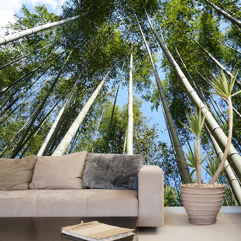 Bamboo Forest Moisture Resistant Mural for Sitting Room, Customized Size Available