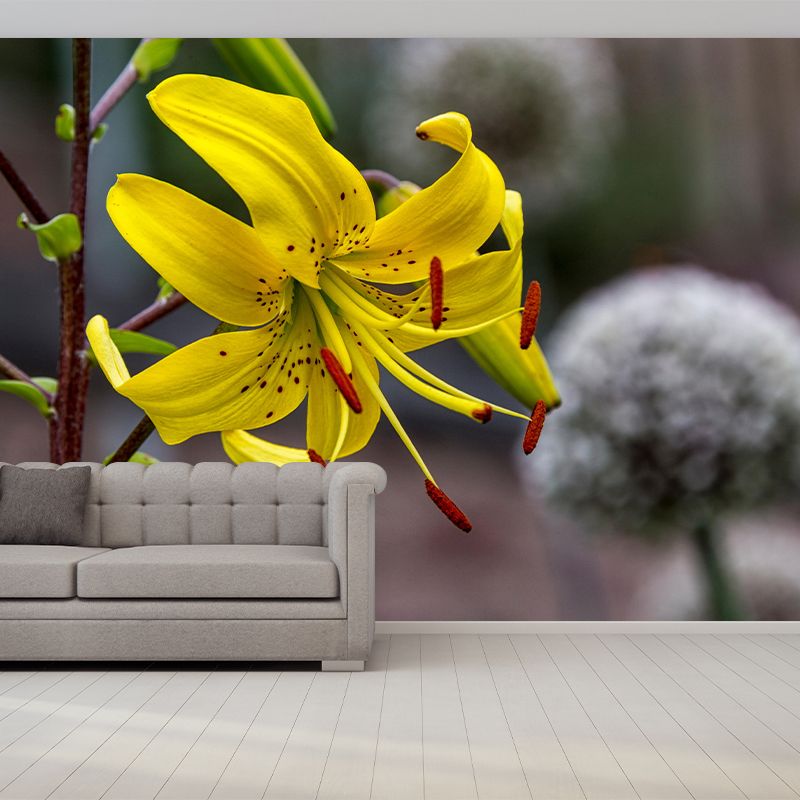 Lily Blooming Mural Wallpaper Stain Resistant Wall Covering for Sitting Room