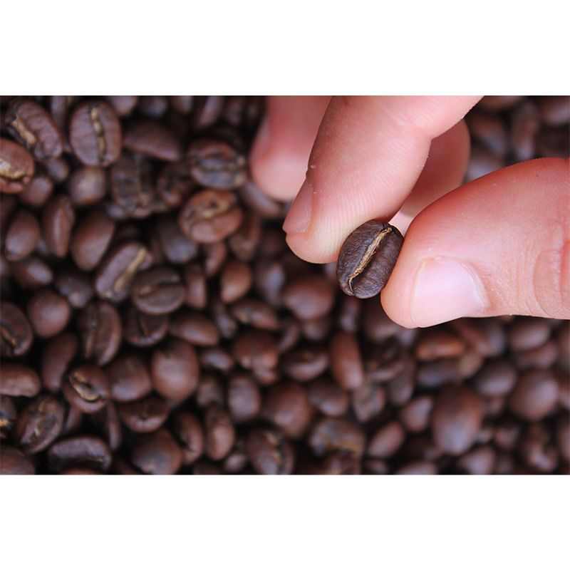Coffee Beans Mural Wallpaper Coffee Shop Wall Decor, Moisture Resistant