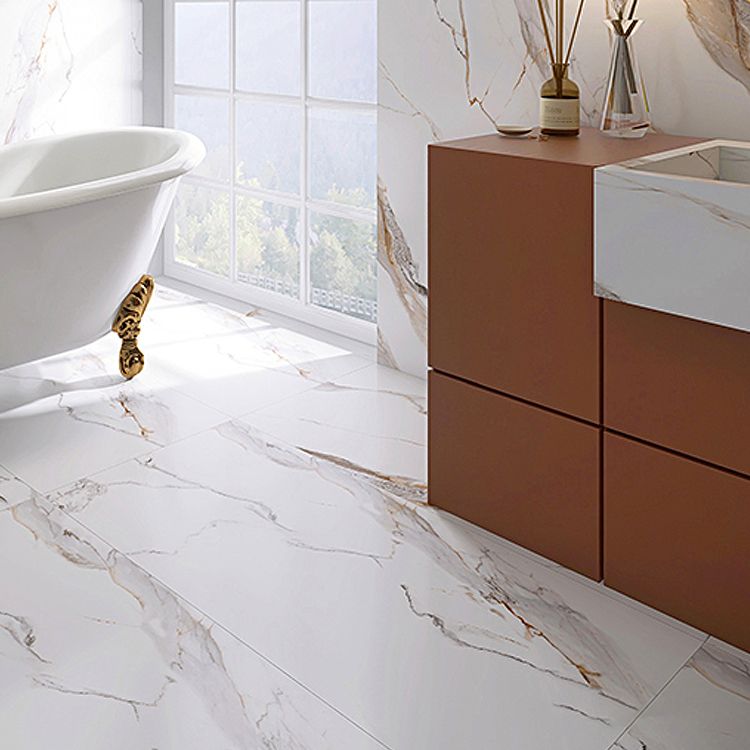 Indoor Wall & Floor Tile Porcelain Floor and Wall Tile with Rectangular Shape