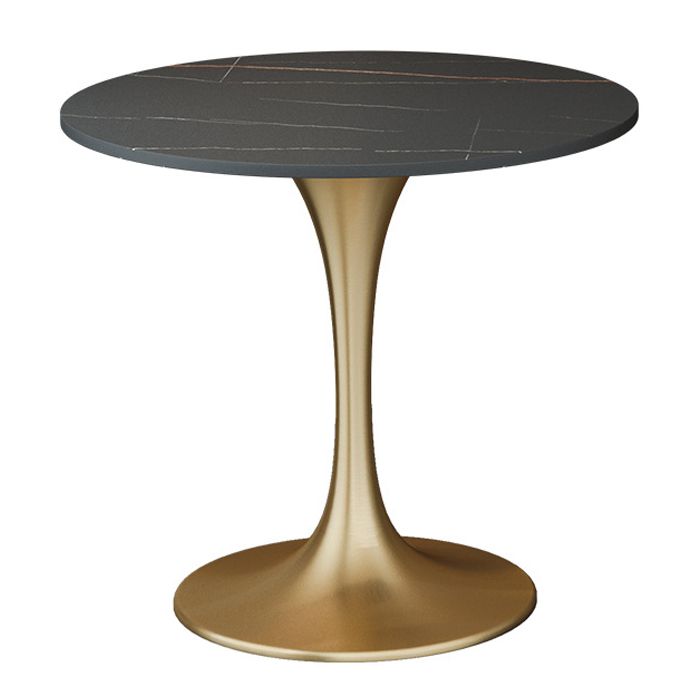 Contemporary 1/2/3/4/5 Pieces Dining Set Sintered Stone Dining Table for Kitchen