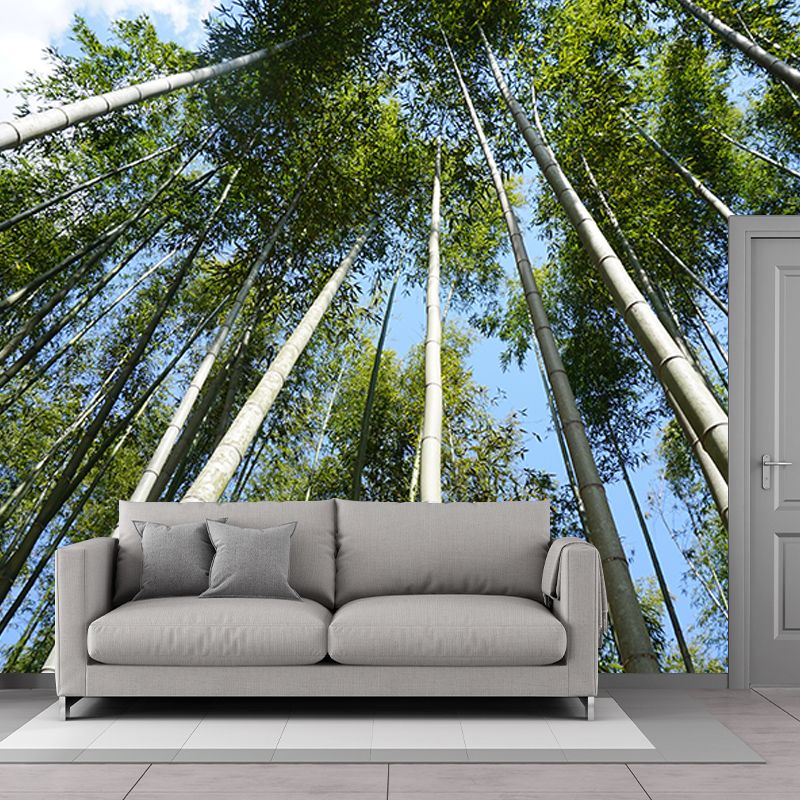 Bamboo Forest Moisture Resistant Mural for Sitting Room, Customized Size Available