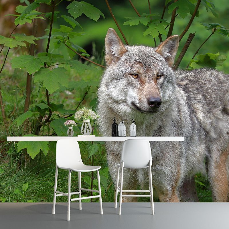 Handsome Woif Mural Wallpaper Stain Resistant Wall Covering for Living Room