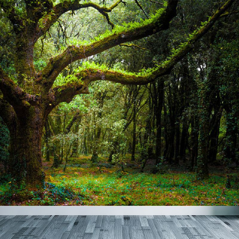 Extra Large Forest Trees Mural Green Non-Woven Wall Art for Indoor Decor, Custom Printed