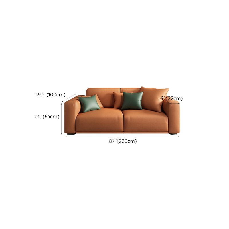 Contemporary Loose Back Seating Pillow Top Arm Beige Sofa for Apartment