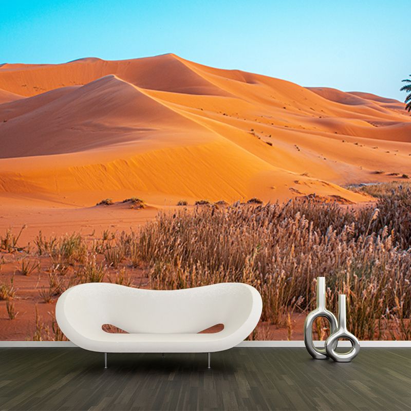 Dry Desert Wall Mural Decal for Reading Room, Personalized Size Available