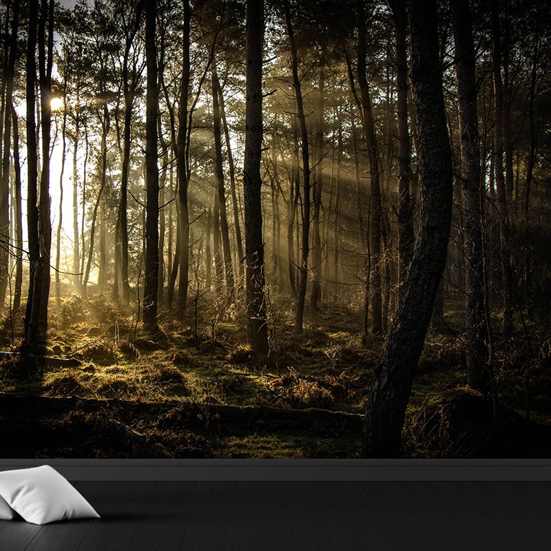 Deep Forest Wallpaper Murals Modern Waterproof Living Room Wall Covering