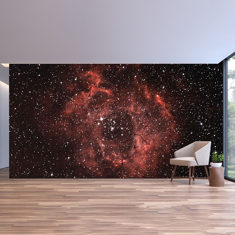 Modern Style Photography Wall Mural Wallpaper Cosmos Bedroom Wall Mural