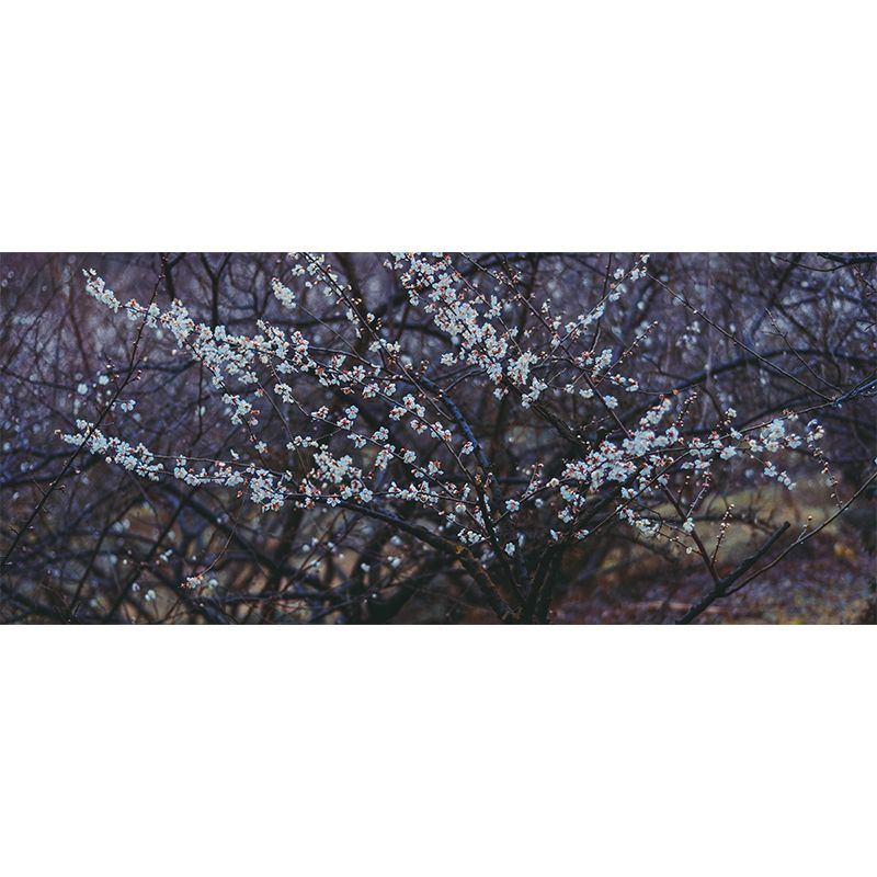 Customized Plum Bossom Mural Wallpaper Contemporary for Guest Room Decor