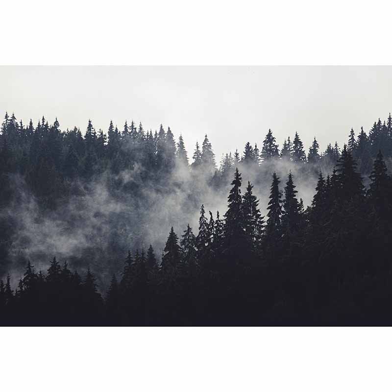 Forest Landscapes Mildew Resistant Wall Mural Wallpaper Pattern for Home Decor