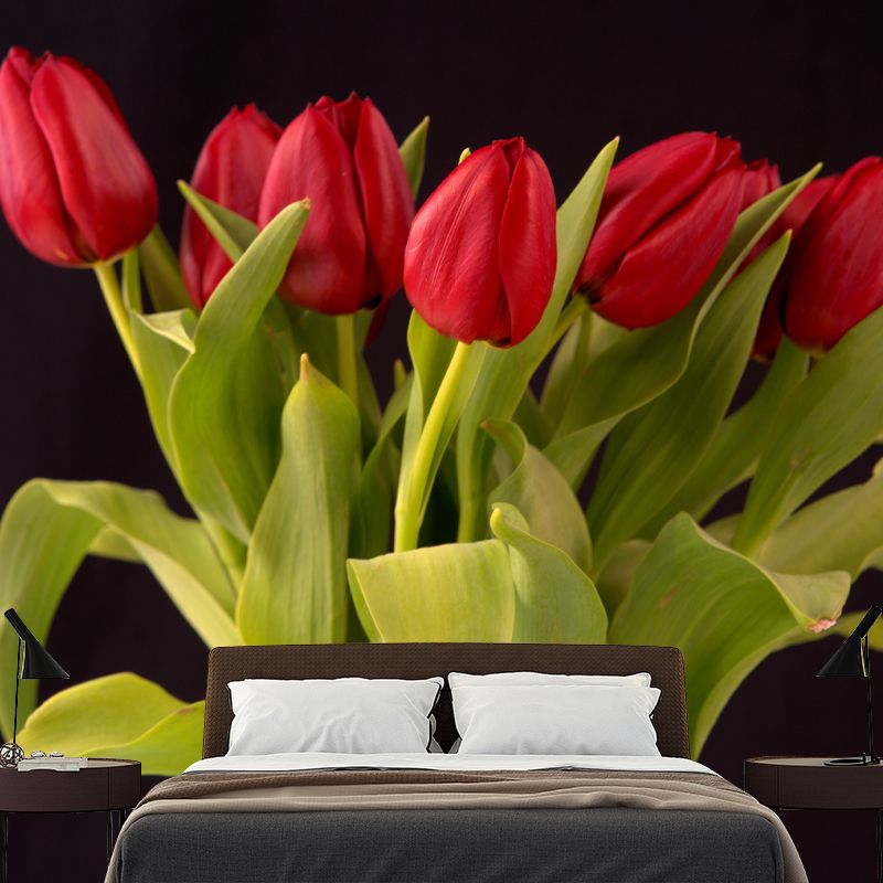 Photography Tulip Wall Mural Decal for Sitting Room, Personalized Size Available