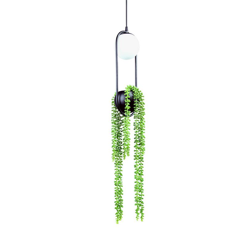 Kugelförmige Schlafzimmer Hanging Lampe Industrielles weißes Glas 1-Fulb schwarzer Pflanzenanhänger mit ovalem Käfig