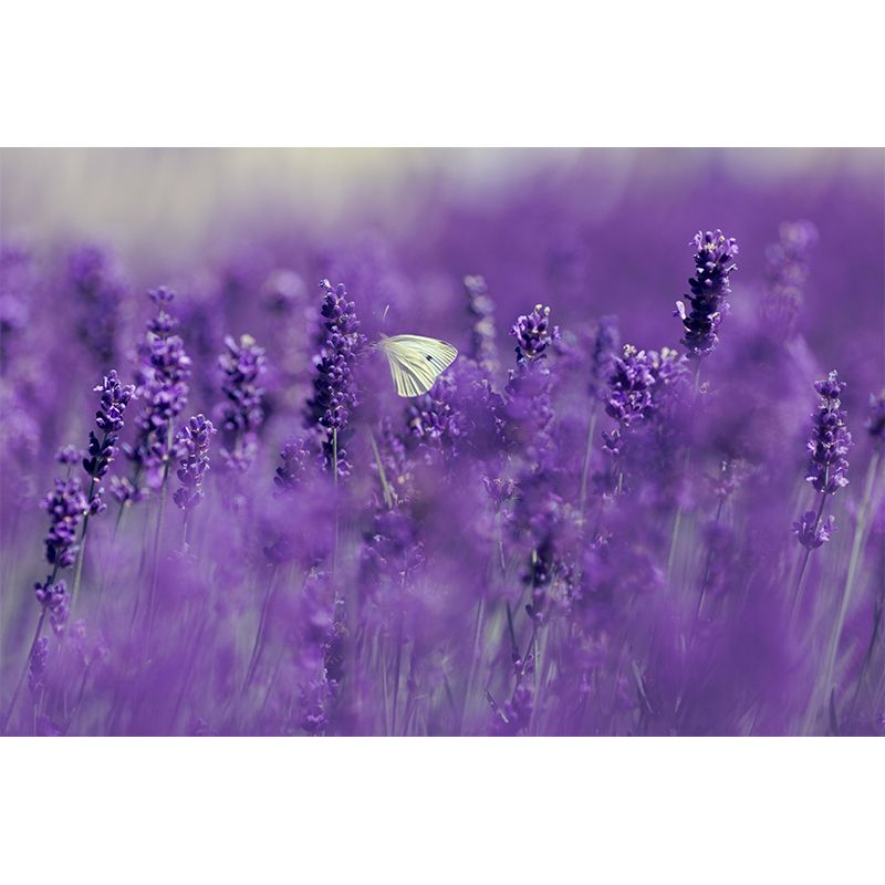 Beautiful Lavender Wall Mural Decal Colorful Mural Wallpaper for Girl Bedroom