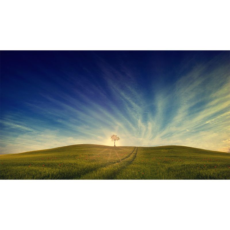 Contemporary Photography Style Sky Mural Wallpaper Mildew Resistant Wall Covering