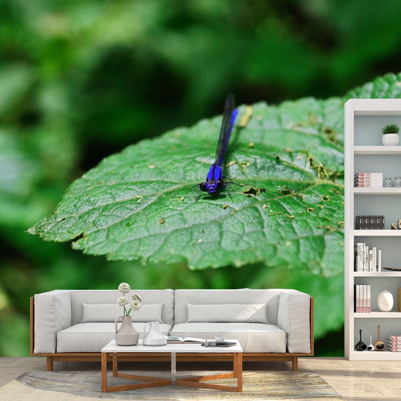 Customized Photography Dragonfly Mural Stain Resistant Wall Art for Dining Room