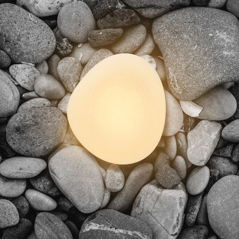 Kunststof kiezelvormige inbouw Cartoon LED witte plafondlamp voor slaapkamer