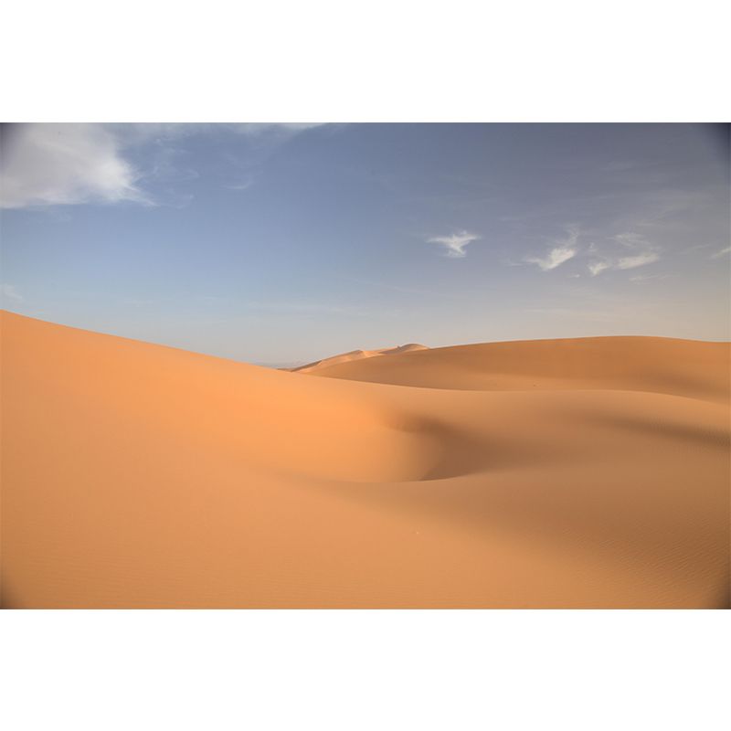 Contemporary Photography Style Desert Mural Wallpaper Mildew Resistant for Room