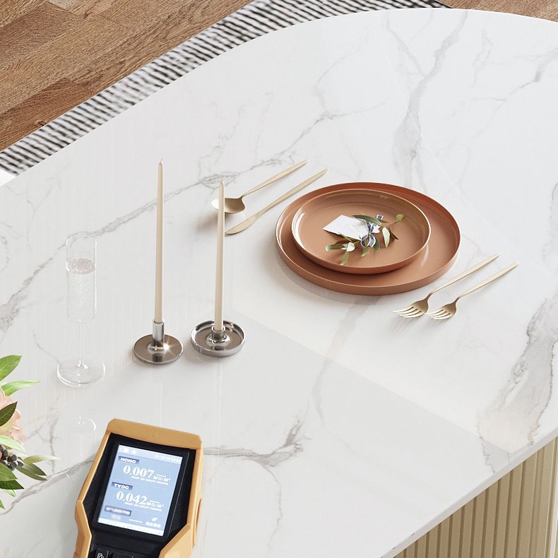 Sintered Stone Top Dining Table Oval Table with Metal Base and Double Pedestal