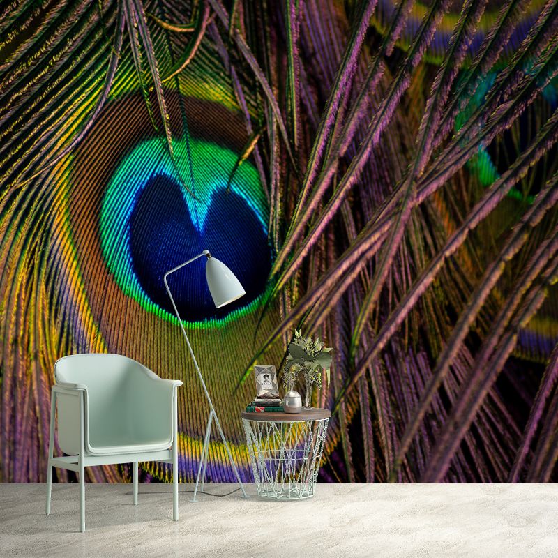 Peacock Feather Wall Mural Contemporary Home Decor Mildew Resistant for Room