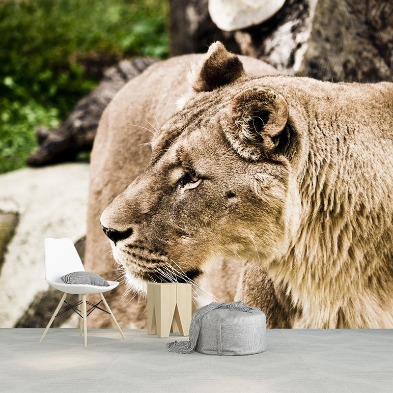Customized Lioness Wall Mural Contemporary Photography for Bedroom Living Room