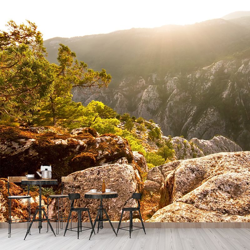 Brown Mountain Sunrise Scene Mural Waterproof Modern Style Living Room Wall Decor