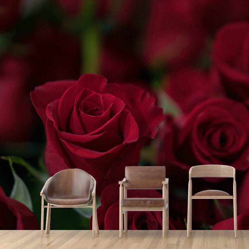 Photography Wall Mural Wallpaper Elegant Rose Sitting Room Wall Mural