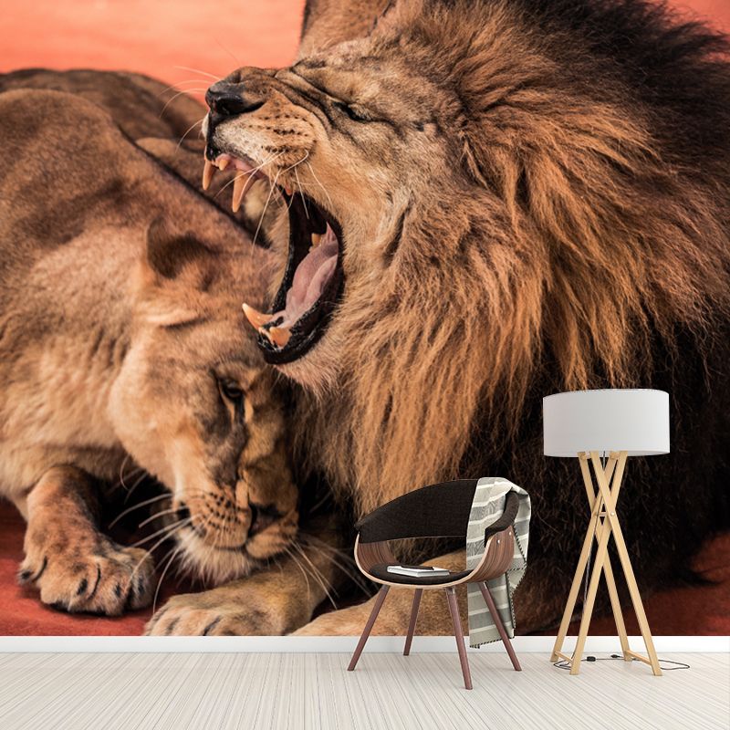 Brown Sleepy Lions Mural Wallpaper Moisture Resistant Wall Covering for Accent Wall
