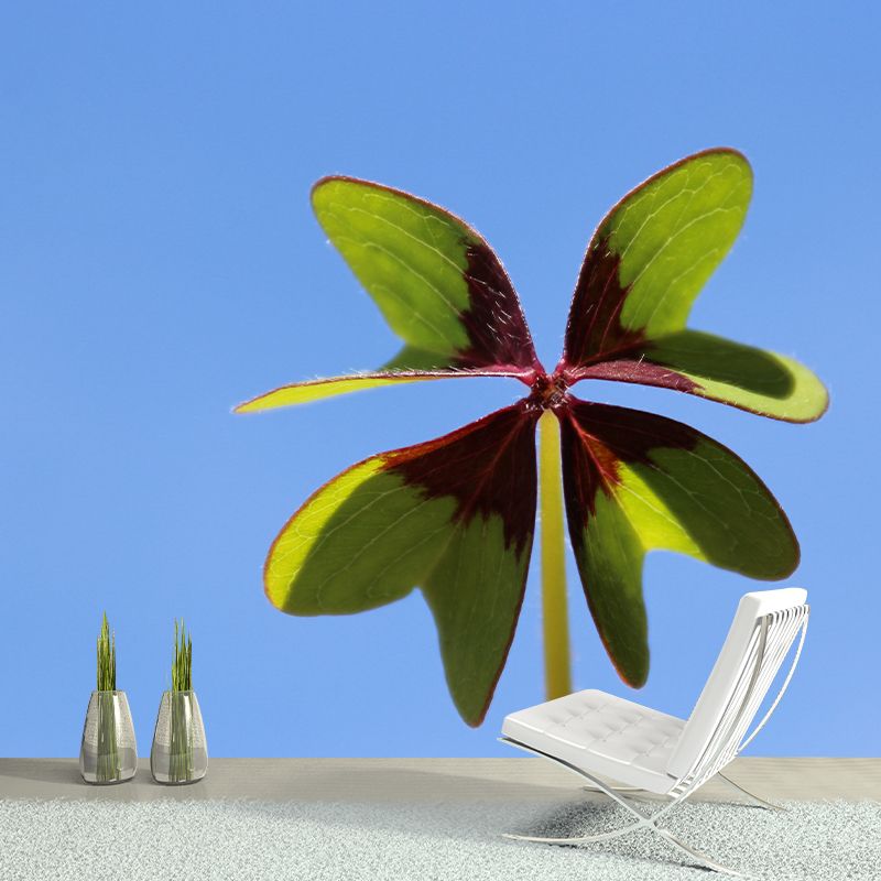 Green Clover Mural Wallpaper for Sleeping Room Water Resistant, Custom Size Available