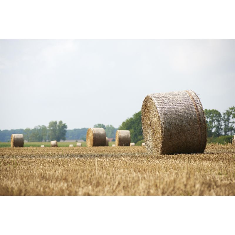 Straw Bales Mural Wallpaper Moisture Resistant Wall Decor for House Interior