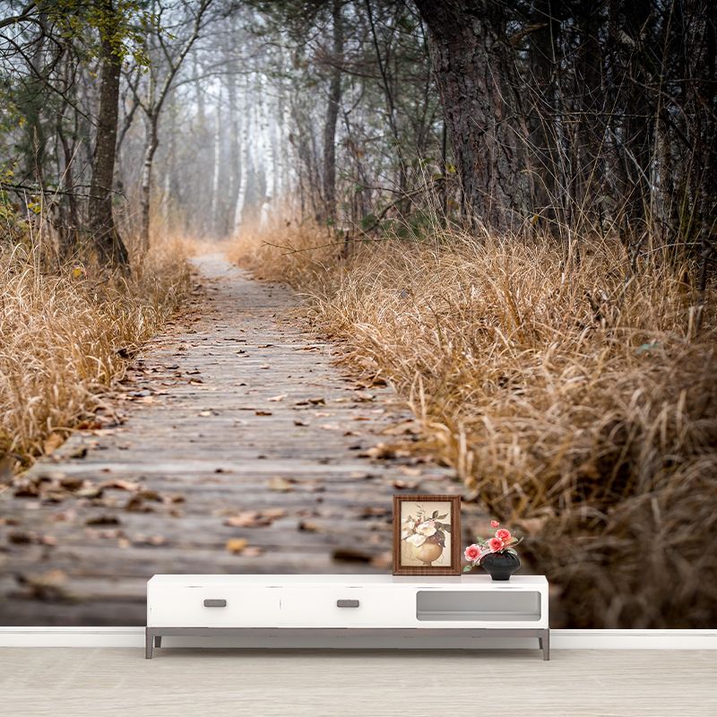 Space Extension Wallpaper Mural Photography Mildew Resistant for Living Room