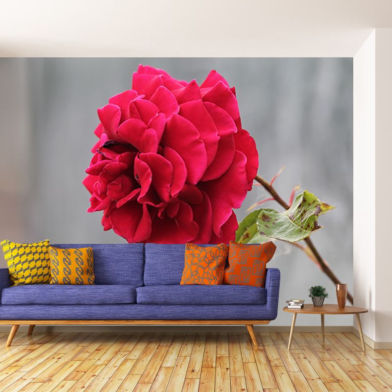 Beautiful Rose Flower Wall Decals Removable Mural Wallpaper, Waterproofing