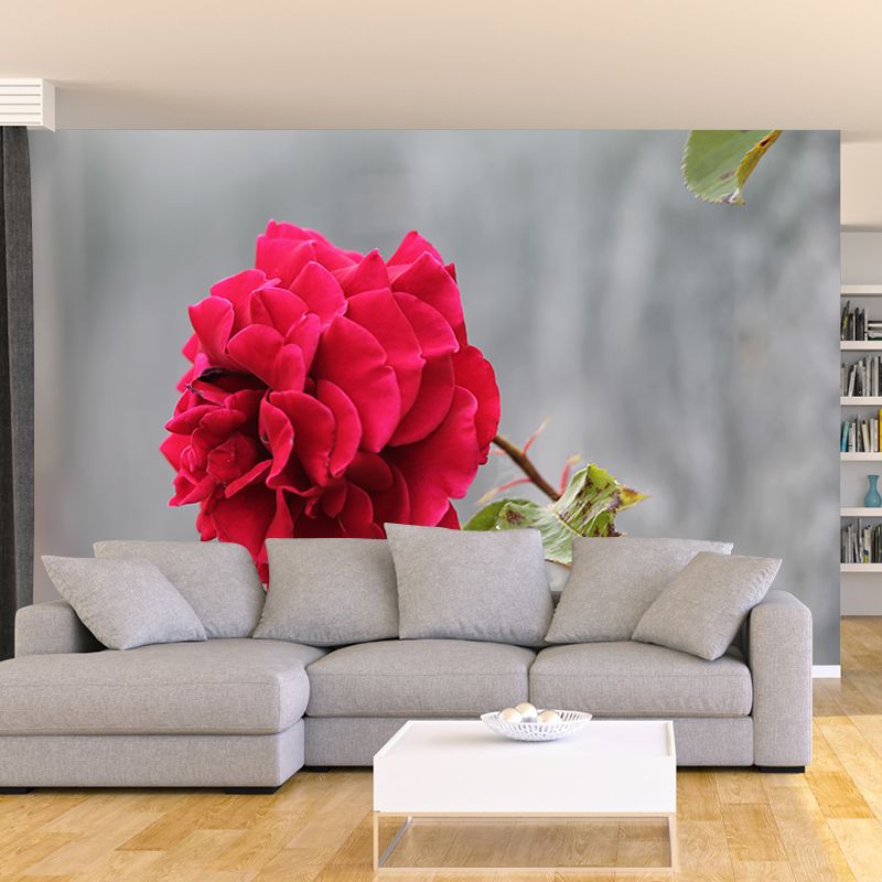 Beautiful Rose Flower Wall Decals Removable Mural Wallpaper, Waterproofing