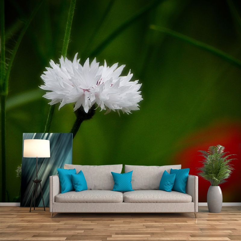 Customized Cornflower Mural Wallpaper Waterproofing Wall Decor for Meeting Room