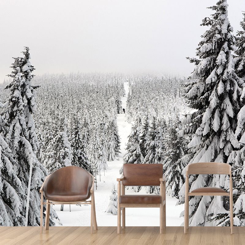 Misty Forest Scenery Wall Mural Modern Wall Decor in zachte kleuren voor Accent Wall