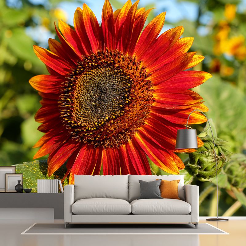 Blooming Sunflower Mural Wallpaper Environmental Contemporary for Bedroom