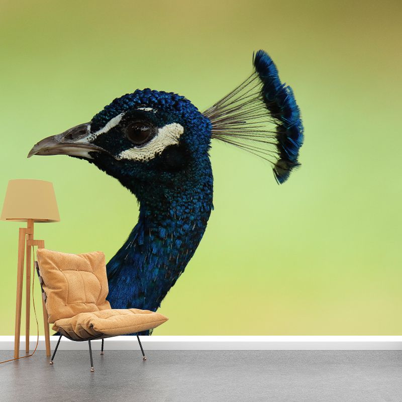 Peacock Animal Mural Wallpaper Stain Resistant Wall Covering for Gust Room