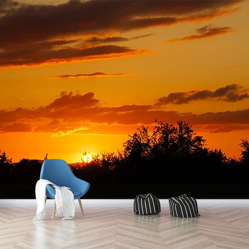 Photography Sky Landscape Mural Mildew Resistant Wall Decor for Living Room